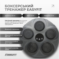 Боксерський тренажер EasyFit настінний  музичний з підсвіткою
