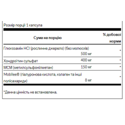 Glucosamine Chondroitin MSM - 90caps