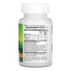Kids Green Food Supplement – 90 tabs Tropical Fruit