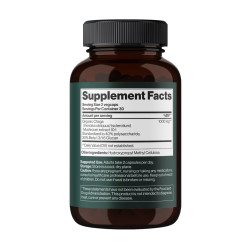 Chaga Mushroom 1000 mg - 60 vegcaps (Пошкоджена банка)