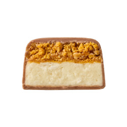 Space Bite - 10x45g Coconut Mango